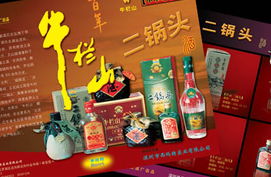 品牌與包裝設計 南京廣告設計公司的專業價值